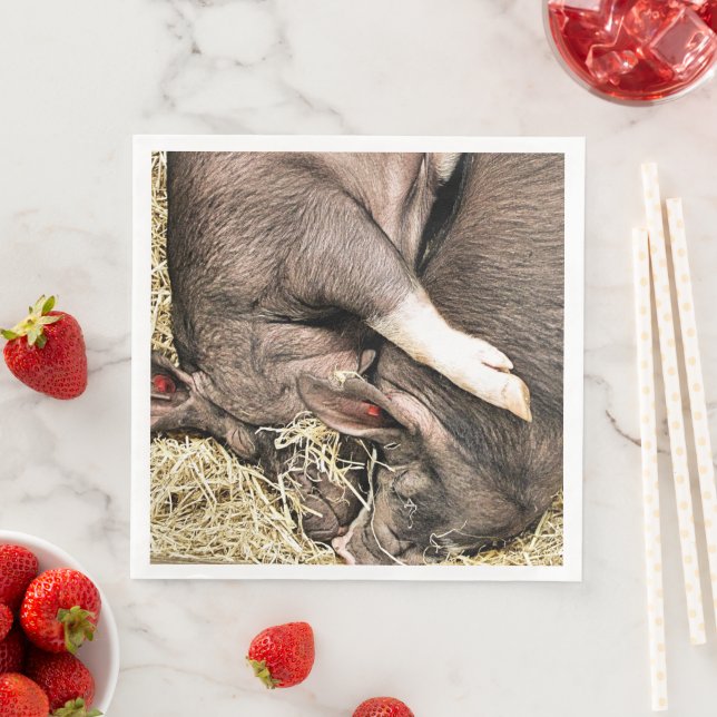 SERVIETTE EN PAPIER PETITS PIÈCES FRAÎCHES (En situation)