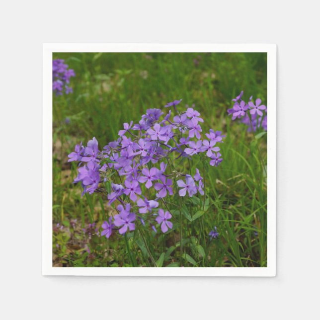 Serviette En Papier Phlox bleu sauvage (Devant)