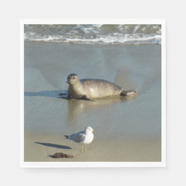 Serviette En Papier Phoque commun à La Jolla Californie (Devant)