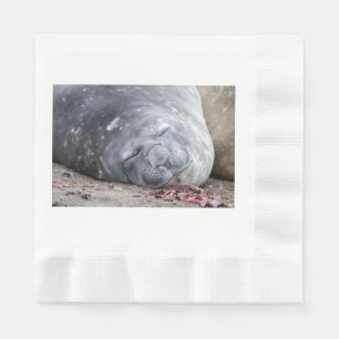 Serviette En Papier Phoque d'éléphant dormant