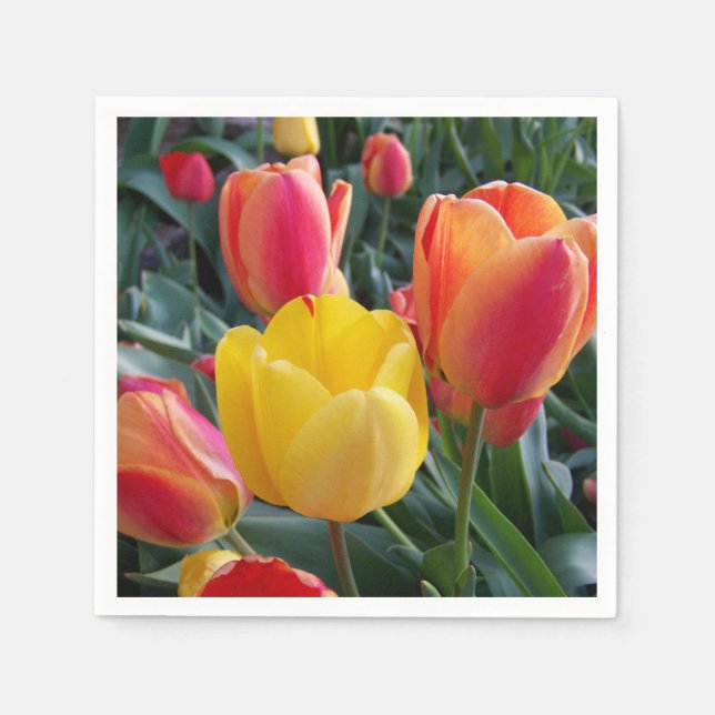 Serviette En Papier Photo (Devant)