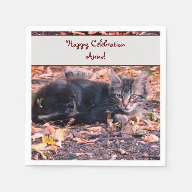 Serviette En Papier Photo Cat (Devant)