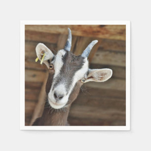 Serviette En Papier Photo Cute Brown et White Goat