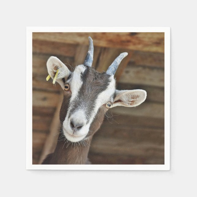 Serviette En Papier Photo Cute Brown et White Goat (Devant)