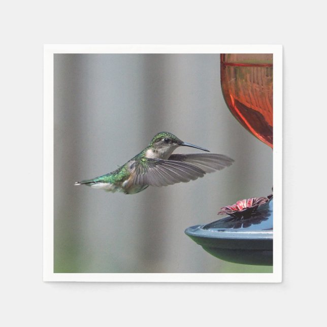 Serviette En Papier Photo d'alimentation rouge des colibris (Devant)