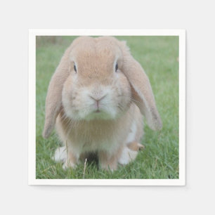 Serviette En Papier photo de lapin grave