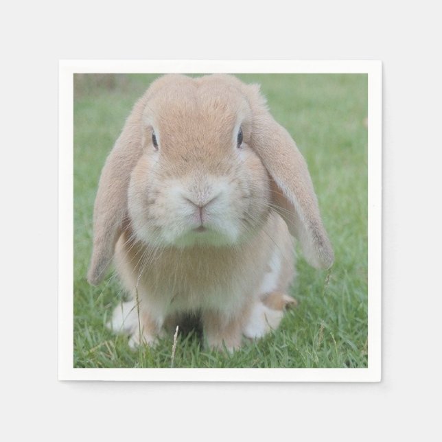 Serviette En Papier photo de lapin grave (Devant)