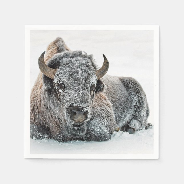 Serviette En Papier Photo de Wildlife Buffalo Snow (Devant)