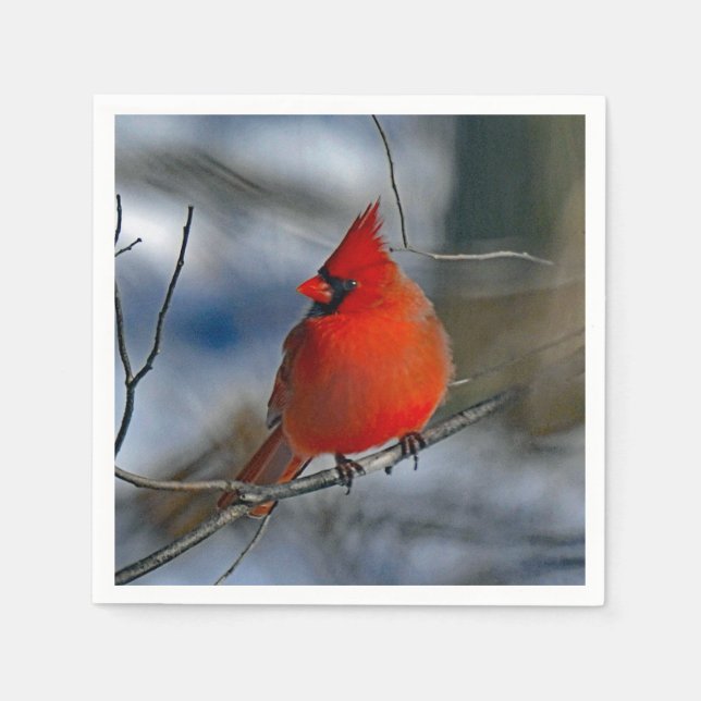 Serviette En Papier Photo du cardinal Red Winter (Devant)
