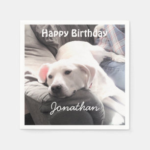 Serviette En Papier Photo d'un chien blanc fatigué mignon avec son mei