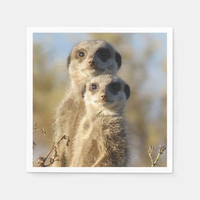 Serviette En Papier Photo d'un couple de suricates (Devant)