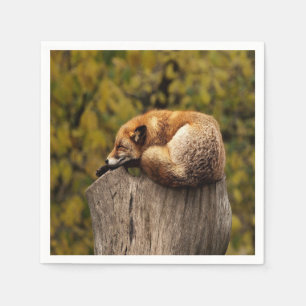 Serviette En Papier photo fox dormant