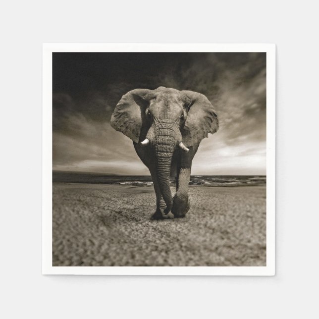 Serviette En Papier Photo Wildlife Bull Elephant (Devant)