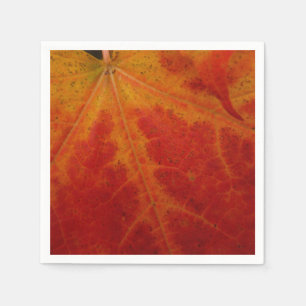 Serviette En Papier Photographie abstraite de la feuille d'érable roug