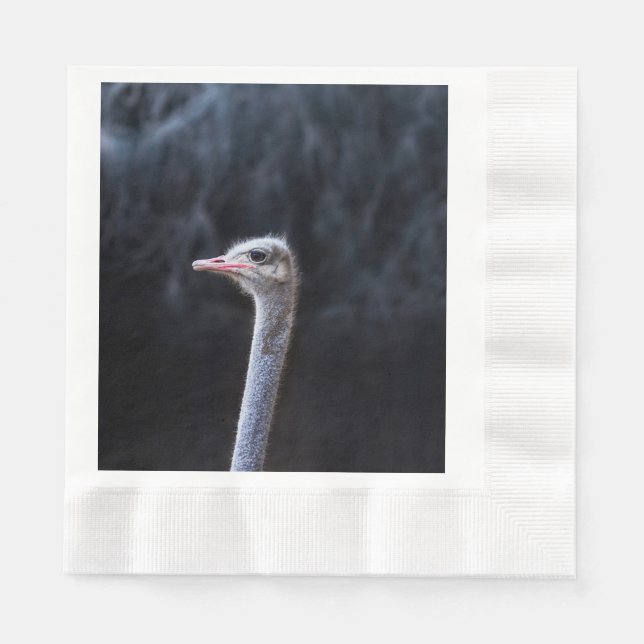 Serviette En Papier Photographie d'autruche (Devant)