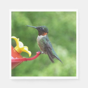 Serviette En Papier Photographie d'oiseau Colibri à gorge rubis