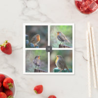 Photos d'oiseau 4 robin moderne monogrammed