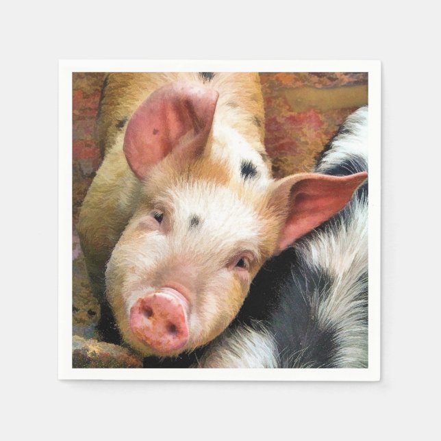 SERVIETTE EN PAPIER PIÈCES (Devant)