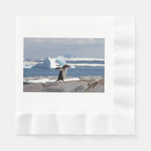 Serviette En Papier Pingouin devant une arche de glace