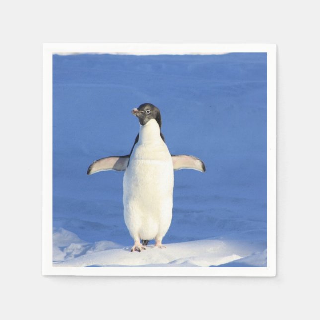 Serviette En Papier Pingouin drôle sur la glace (Devant)