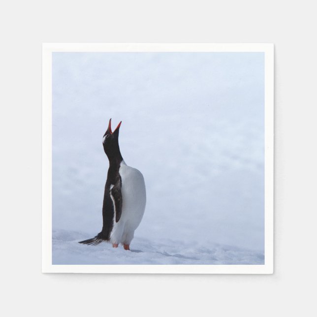 Serviette En Papier Pingouin Gentoo (Devant)