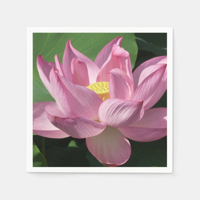 Serviette En Papier Pink Lotus Flower IV (Devant)
