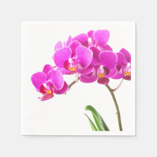 Serviette En Papier Pink violet Dendrobium Orchidée Fleur tropicale