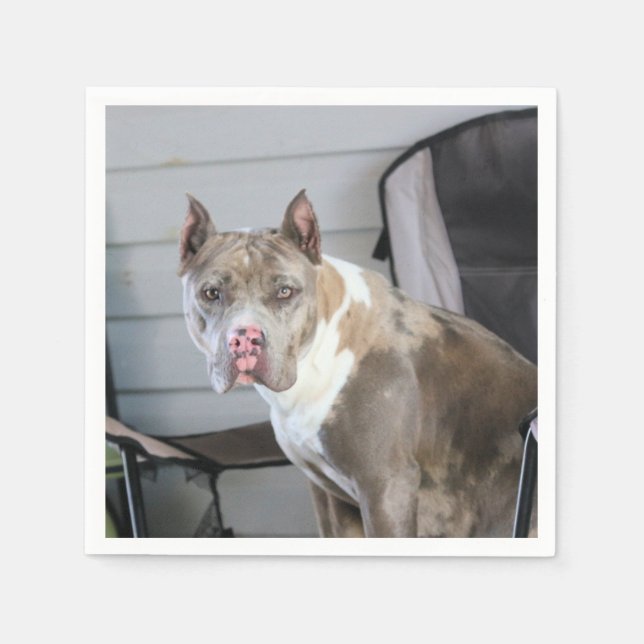 Serviette En Papier Pit Bull (Devant)