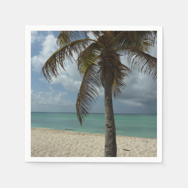 Serviette En Papier Plage d'Aruba I Belle Scène Nature (Devant)