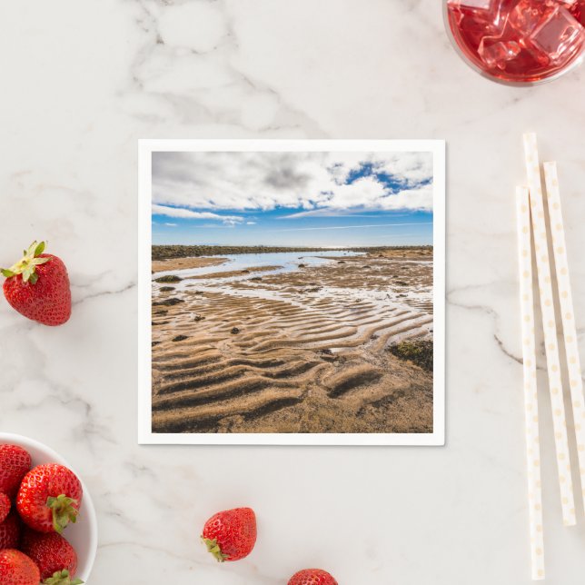 Serviette En Papier Plage de Budir, Islande (En situation)