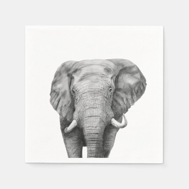 Serviette En Papier Plan de sauvegarde IV (Devant)