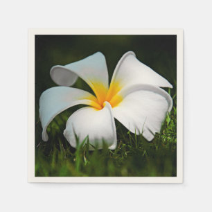 Serviette En Papier Plumeria blanche Frangipani Hawaii