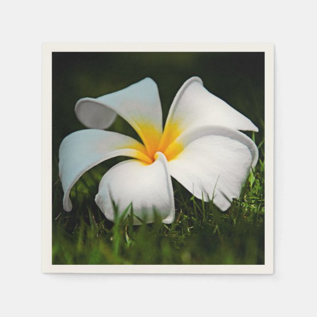Serviette En Papier Plumeria blanche Frangipani Hawaii (Devant)