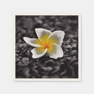 Serviette En Papier Plumeria Frangipani Hawaii