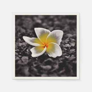 Serviette En Papier Plumeria Frangipani Hawaii