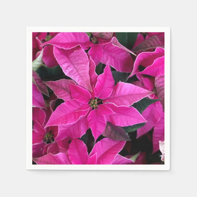 Serviette En Papier Poinsettia rose foncé (Devant)