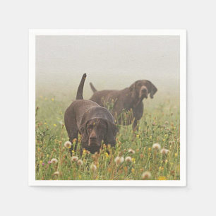 Serviette En Papier Pointeurs allemands à poils courts