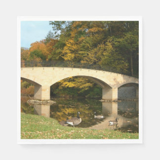 Serviette En Papier Pont Rainbow à l'automne au Grove City College