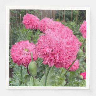 Serviette En Papier Poppies Pom Pom Rose