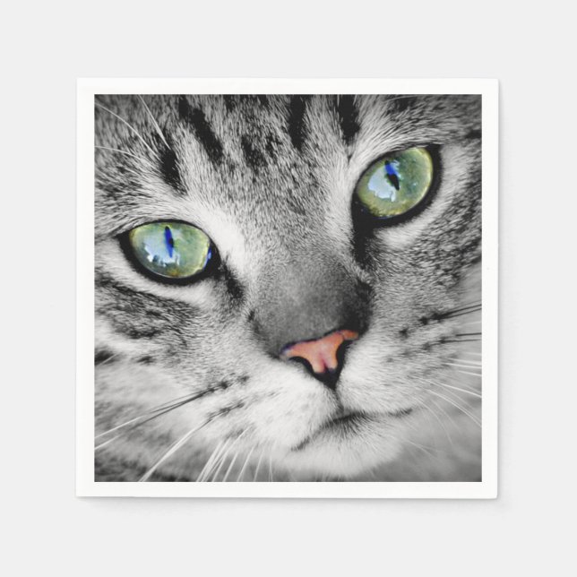 Serviette En Papier Portrait de chat aux yeux verts mignons (Devant)