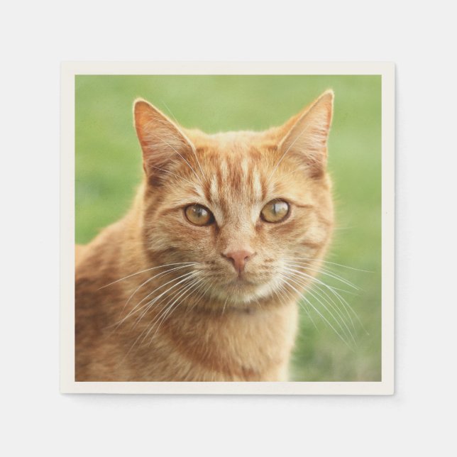 Serviette En Papier Portrait de chat orange mignon (Devant)