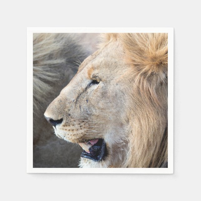 Serviette En Papier Portrait de Lion (Devant)