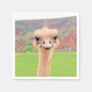 Serviette En Papier Portrait d'Ostrich