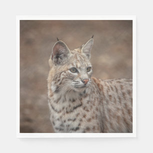 Serviette En Papier Portrait d'un Bobcat