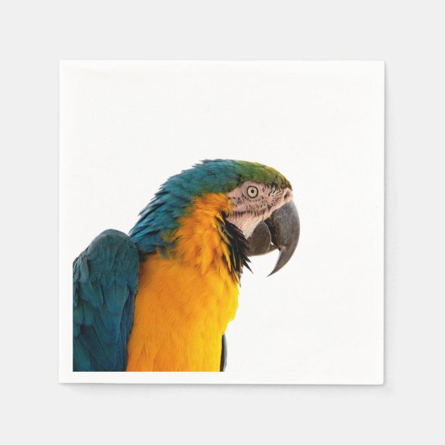 Serviette En Papier Post-it Notes perroquet (Devant)