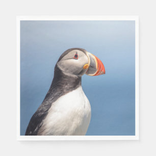 Serviette En Papier Puffin Atlantique en Machias, Maine