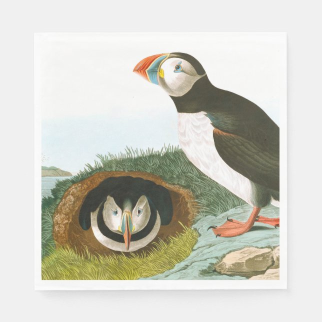 Serviette En Papier Puffin de John James Audubon (Devant)