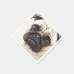 Serviette En Papier pug-7