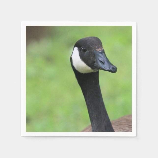 Serviette En Papier Quoi ? (Devant)