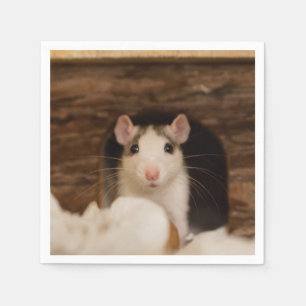 Serviette En Papier Rat mignon